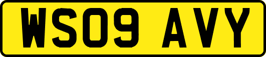 WS09AVY