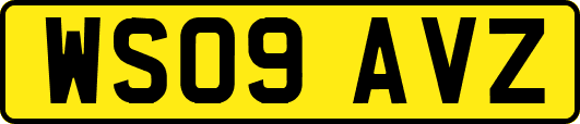 WS09AVZ