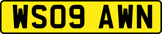 WS09AWN