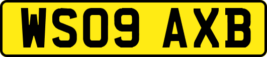 WS09AXB