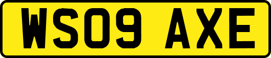 WS09AXE