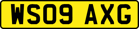 WS09AXG