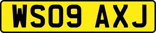 WS09AXJ