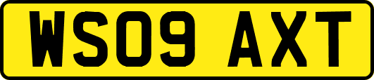 WS09AXT