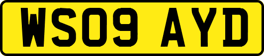 WS09AYD