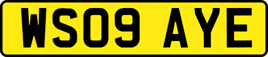 WS09AYE