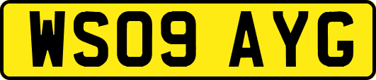WS09AYG