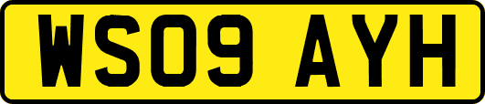 WS09AYH