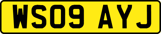 WS09AYJ