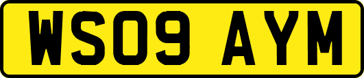 WS09AYM