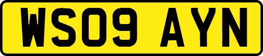 WS09AYN