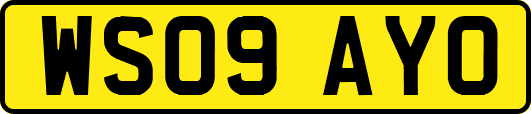 WS09AYO