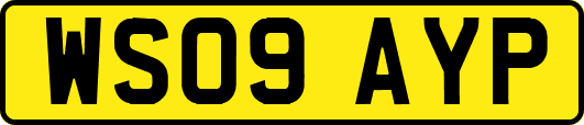 WS09AYP