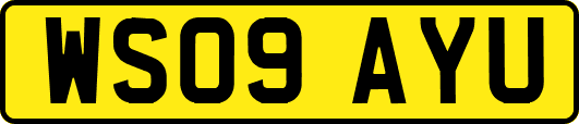 WS09AYU