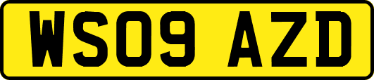 WS09AZD
