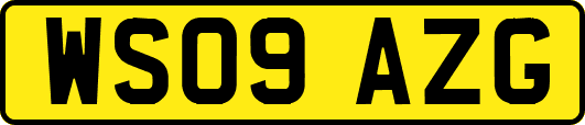WS09AZG