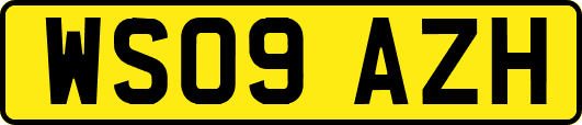 WS09AZH