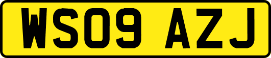 WS09AZJ