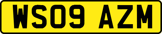 WS09AZM