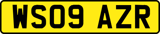 WS09AZR