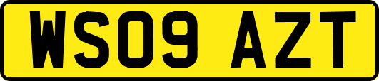 WS09AZT