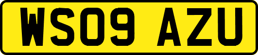 WS09AZU