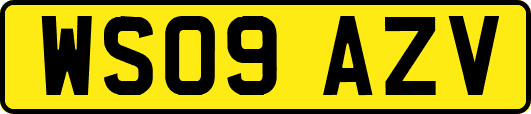 WS09AZV