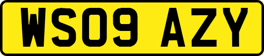 WS09AZY