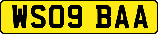 WS09BAA