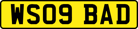 WS09BAD