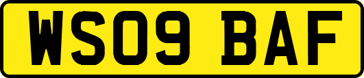 WS09BAF