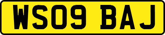 WS09BAJ