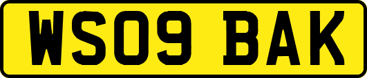 WS09BAK