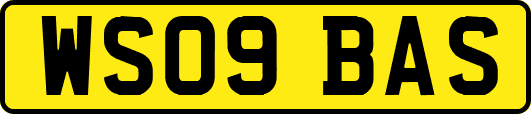 WS09BAS