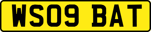 WS09BAT