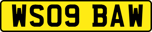 WS09BAW