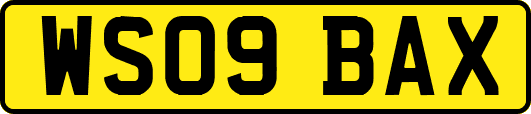 WS09BAX