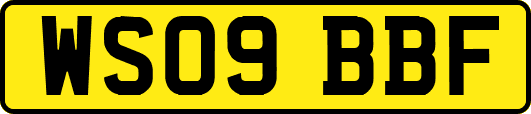 WS09BBF