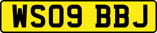WS09BBJ