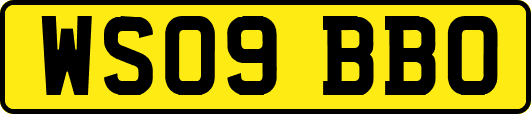 WS09BBO