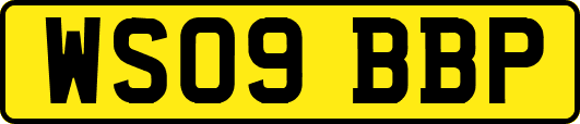 WS09BBP