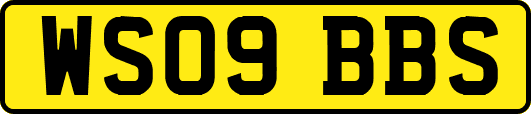 WS09BBS