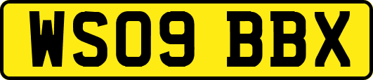 WS09BBX