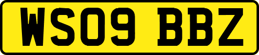 WS09BBZ
