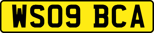 WS09BCA