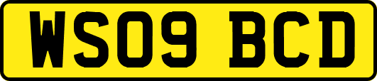 WS09BCD