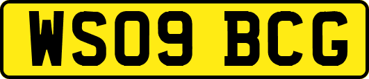 WS09BCG