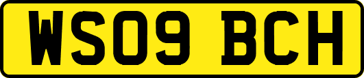 WS09BCH