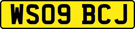 WS09BCJ