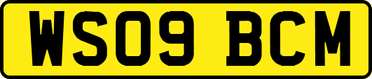 WS09BCM